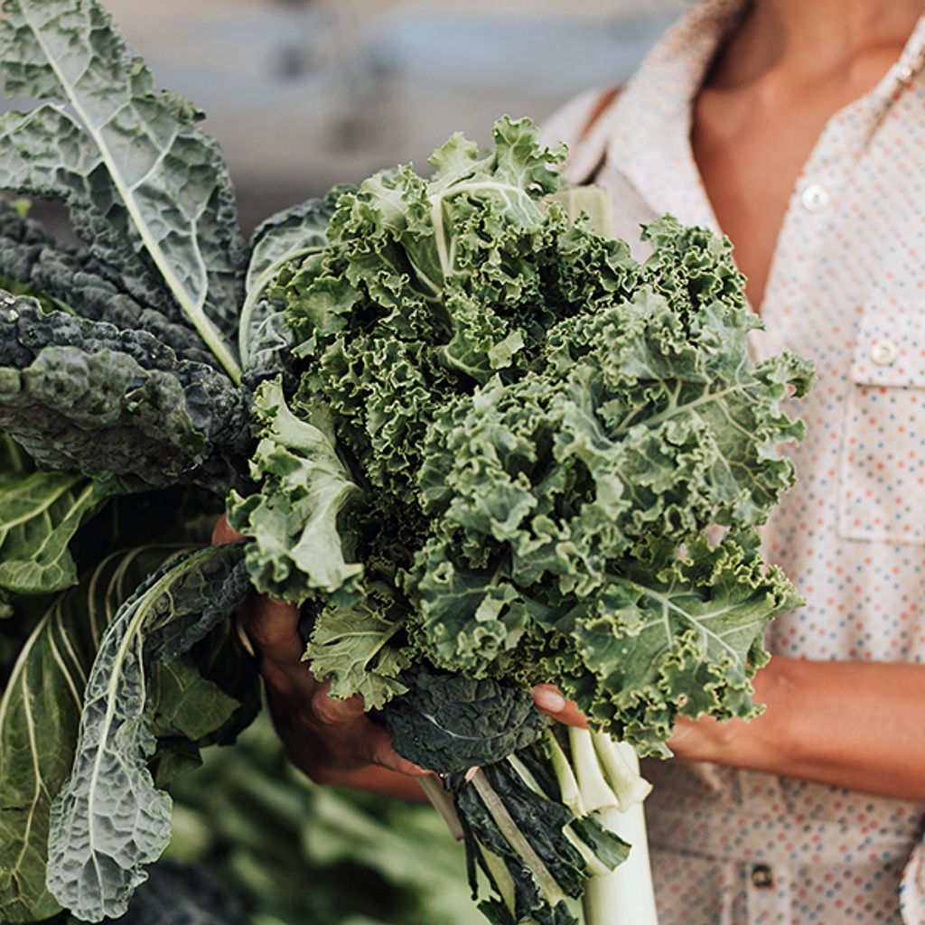 Kale: El Superalimento que Finalmente Llegó a Maifud (Y Por Qué Deberías Agregarlo a Tu Caja Esta Semana)