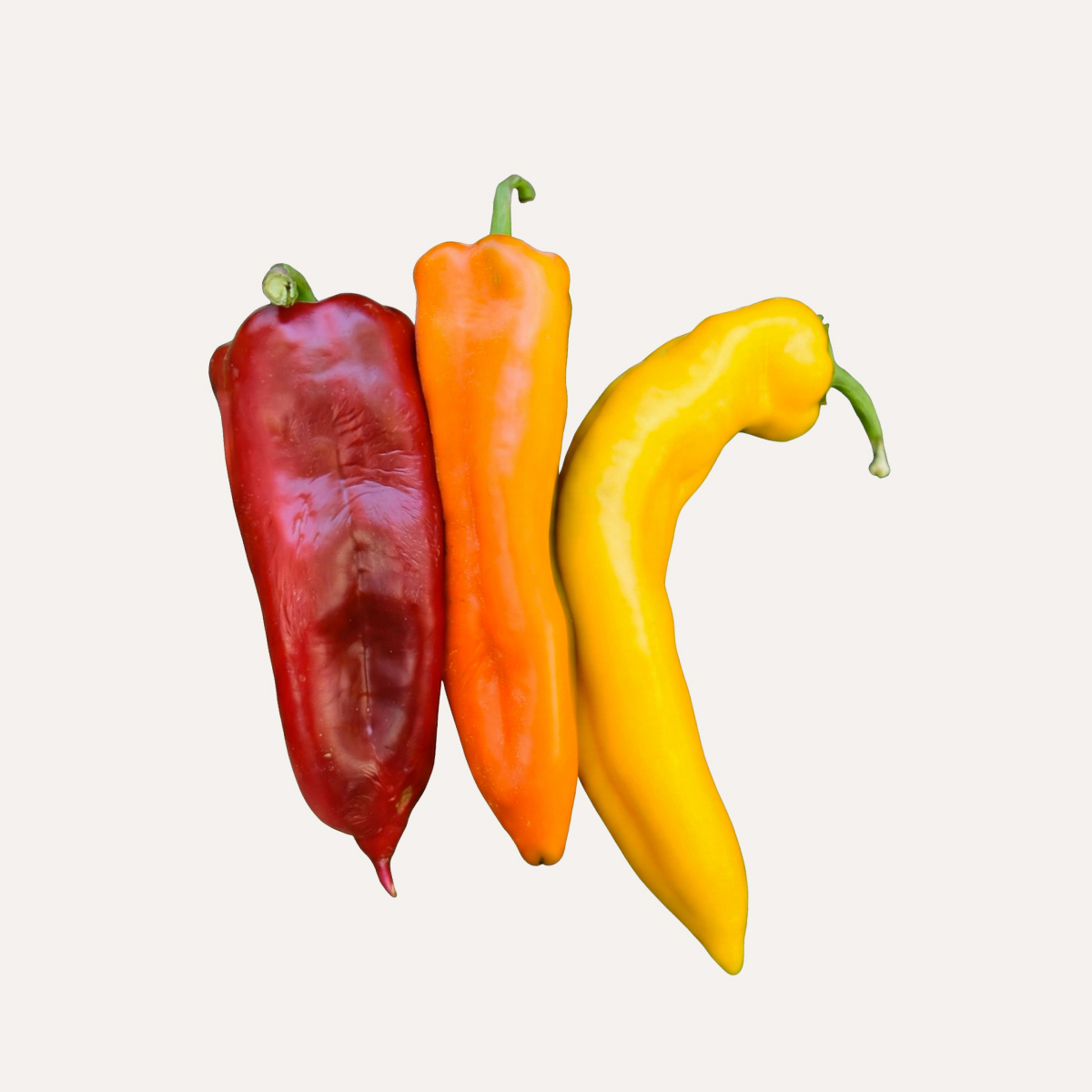 3 Un Pimentón Corno di Toro Mix Colores