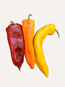 3 Un Pimentón Corno di Toro Mix Colores