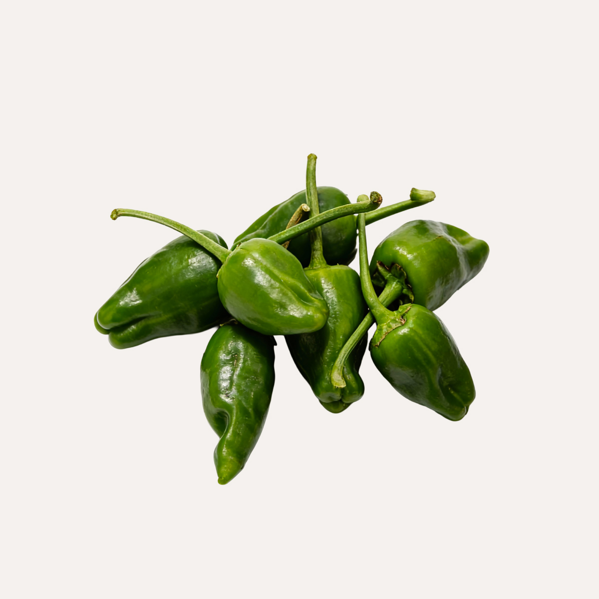 250 grs Pimiento de Padrón/Gernika