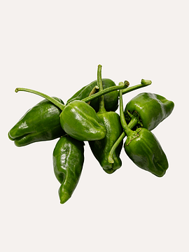 250 grs Pimiento de Padrón/Gernika
