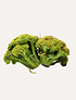 1 Un Brocoli Verde/Amarillo