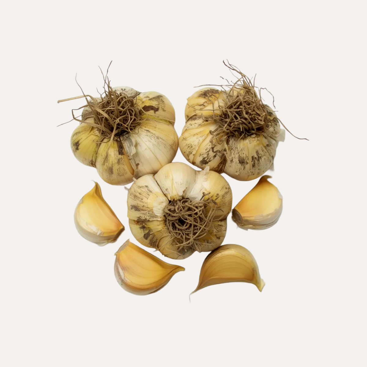 250 grs Ajos Chilotes