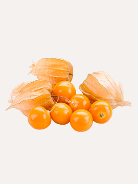200 grs Physalis