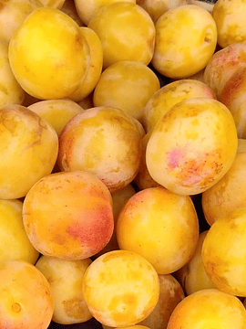 1 Kg Ciruelas Amarillas