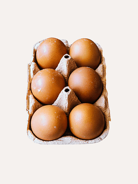 Bandeja 6 Huevos Extra