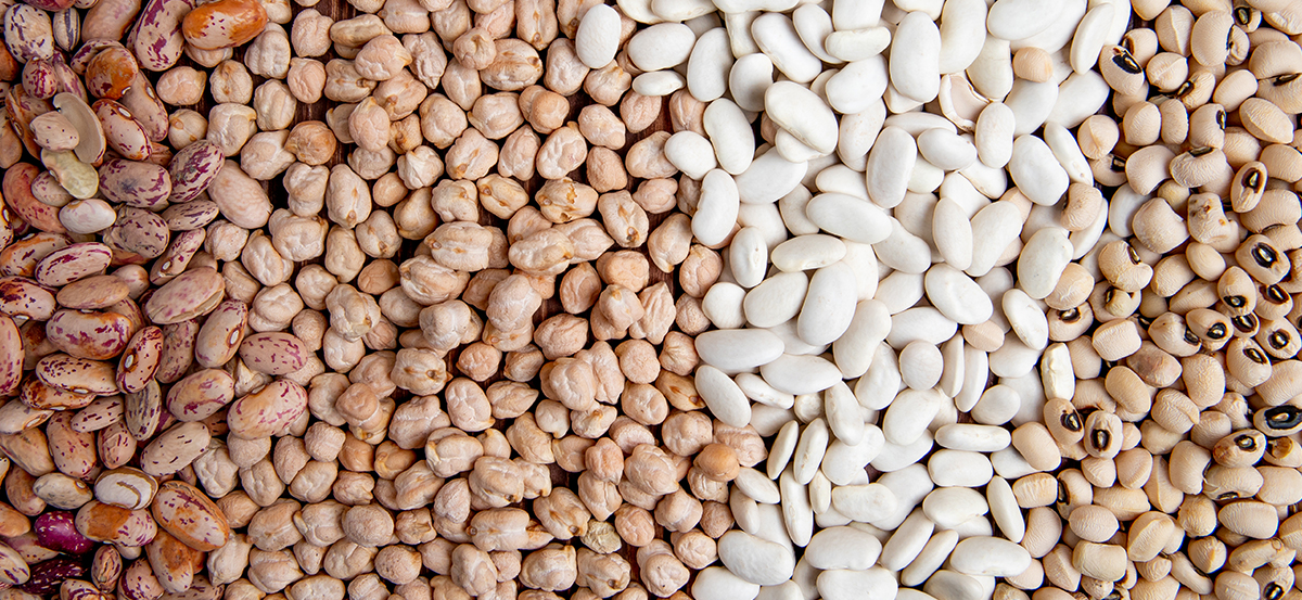 Día Internacional de las Legumbres: Celebra con Recetas Chilenas Tradicionales