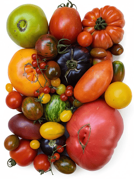 2 Kg Tomates Herencia Mix