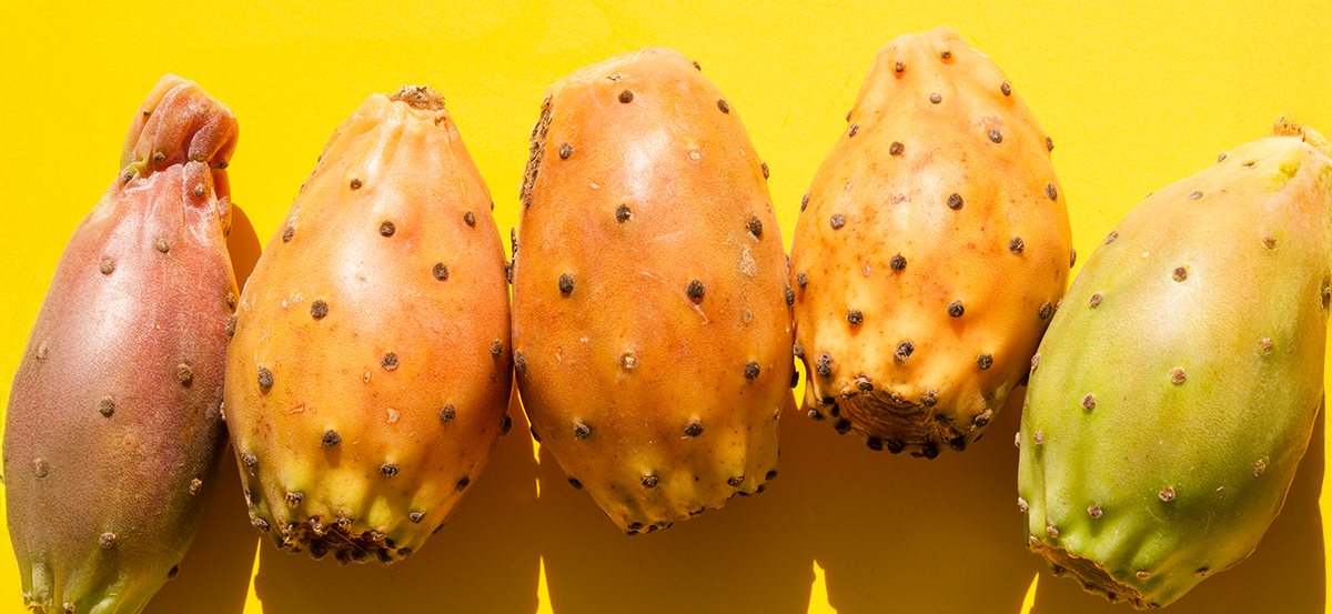 Qué Traen las Cajas Esta Semana (24 Feb-2 Mar): Llegan las Tunas, Cierre de Verano