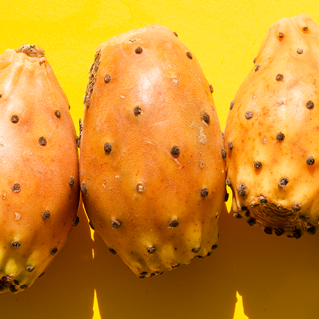 Qué Traen las Cajas Esta Semana (24 Feb-2 Mar): Llegan las Tunas, Cierre de Verano