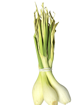 5 Un Cebollín Descarte