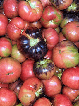 1 Kg Tomates Rosados Blue Tonic