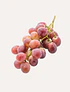 500 grs Uva Red Globe