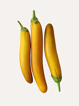 3 Un Berenjenas Japonesas Amarillas