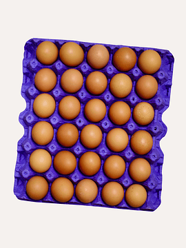 Bandeja 30 Huevos Pequeños