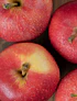 1 Kg Manzanas Rojas