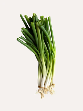 3 Un Cebollín Pequeño