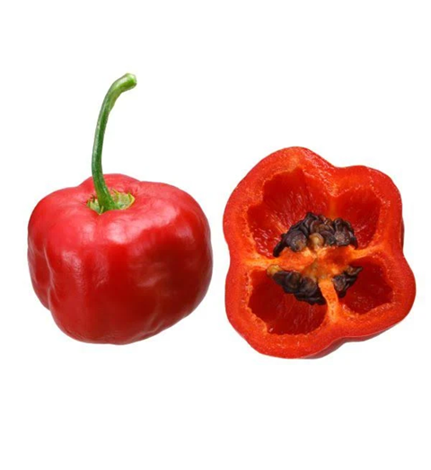 1 Un Rocoto