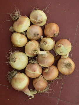 500 grs Cebollas Amarillas