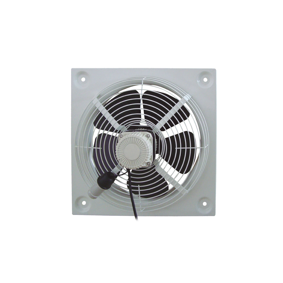 Campana Mural 2500 mm. 4