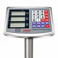 Balanza Electronica 300 KG. - Miniatura 4