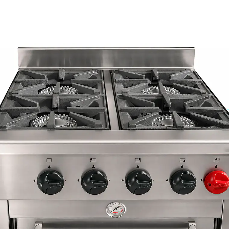 Cocina  4 Pl. + 1 Horno  GLP 4