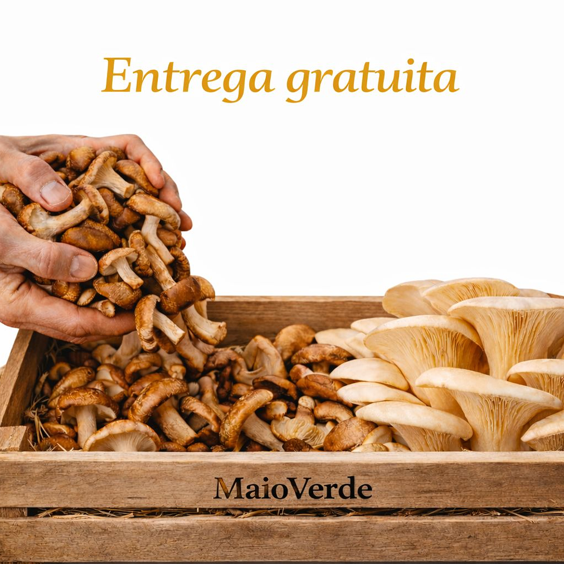 Box Família Mix 3kg 1