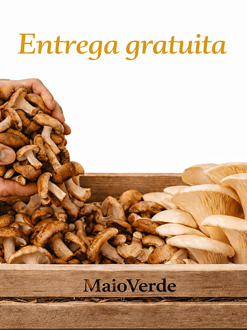 Box Família Mix 3kg