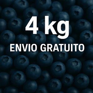 Mirtilo 4kg PROMO
