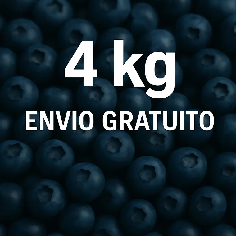 Mirtilo 4kg PROMO 1