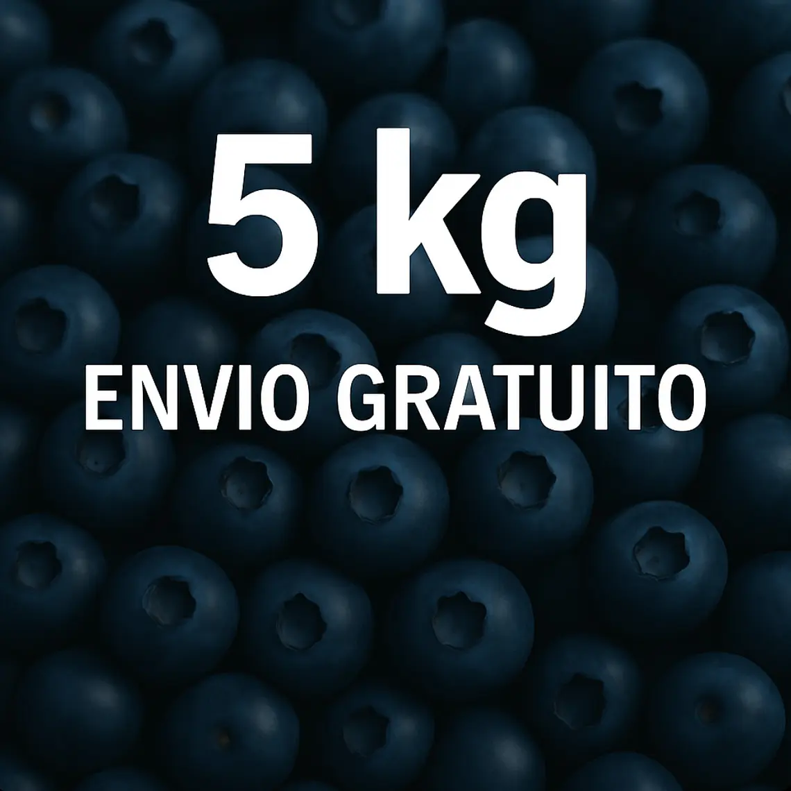 Mirtilo 5kg PROMO  1