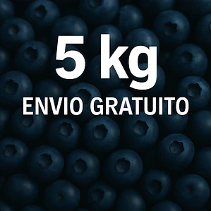 Mirtilo 5kg PROMO 