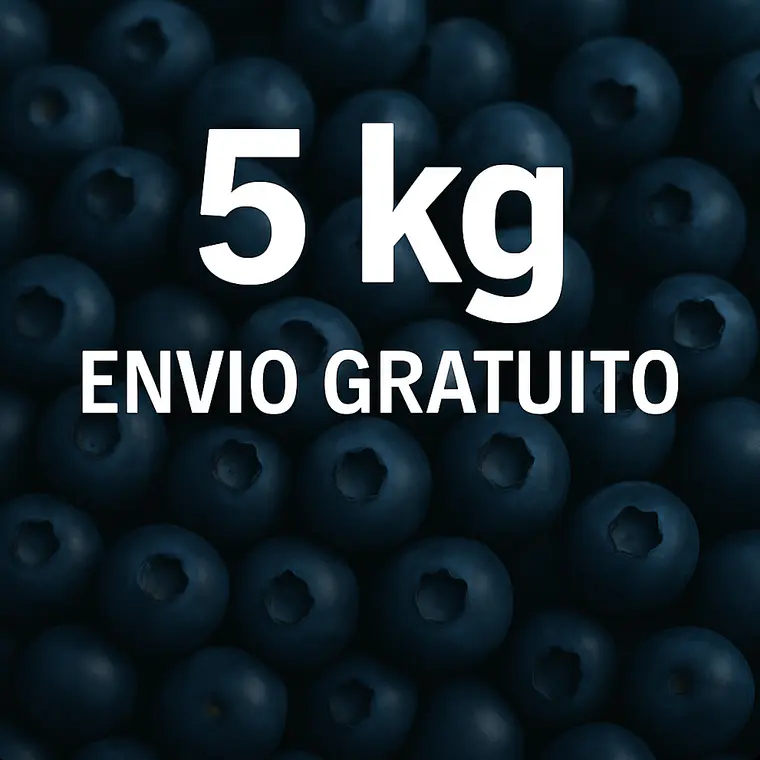 Mirtilo 5kg PROMO  1
