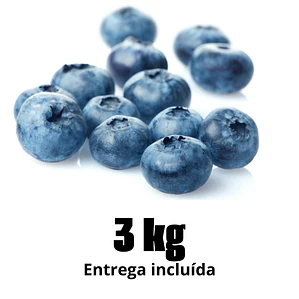 Mirtilo 3kg PROMO