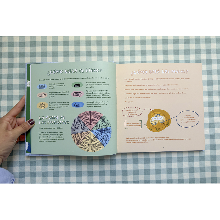 Emociones Chilenas 9