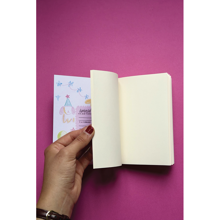 Mini Journal 