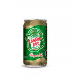 BEBIDA GINGER ALE LATA 220 ML - GINGER ALE