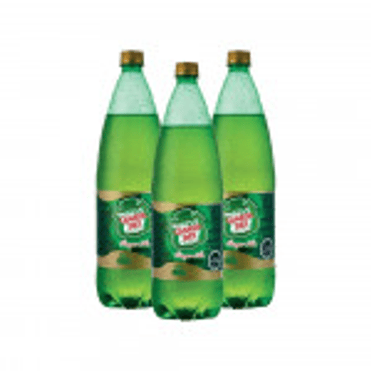 BEBIDA GINGER ALE PET 1.5 LT - GINGER ALE