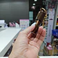 Labial Llavero Metalizado Tono Cáfe - Miniatura 3