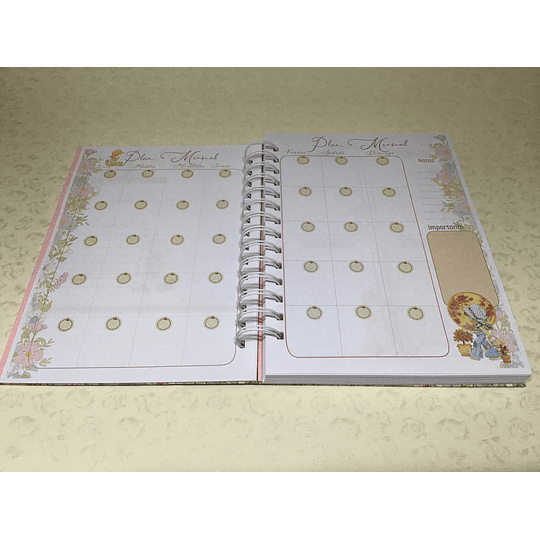 Planner/Agenda Sarah Gold 