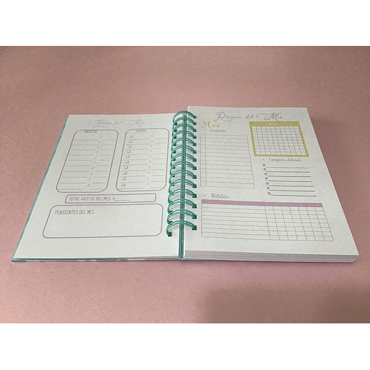 Planner Mariposas