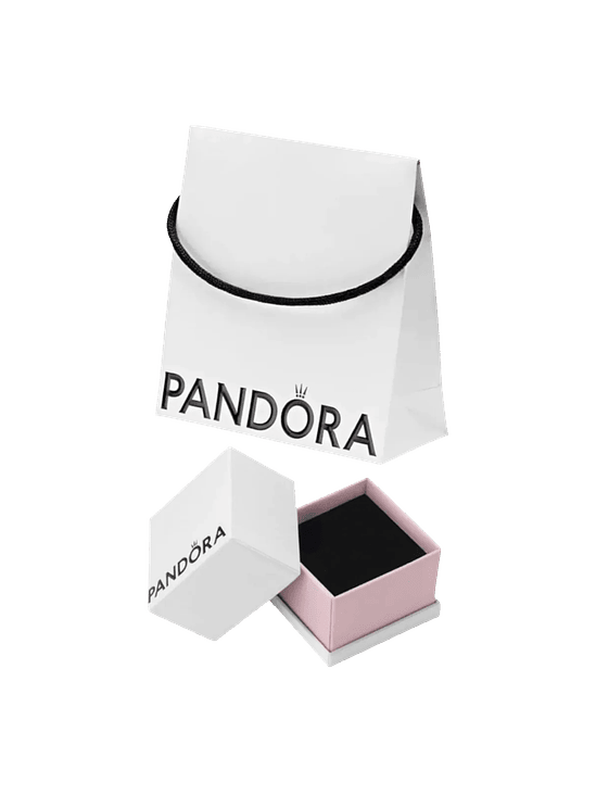 Packaging Estilo Pandora 1