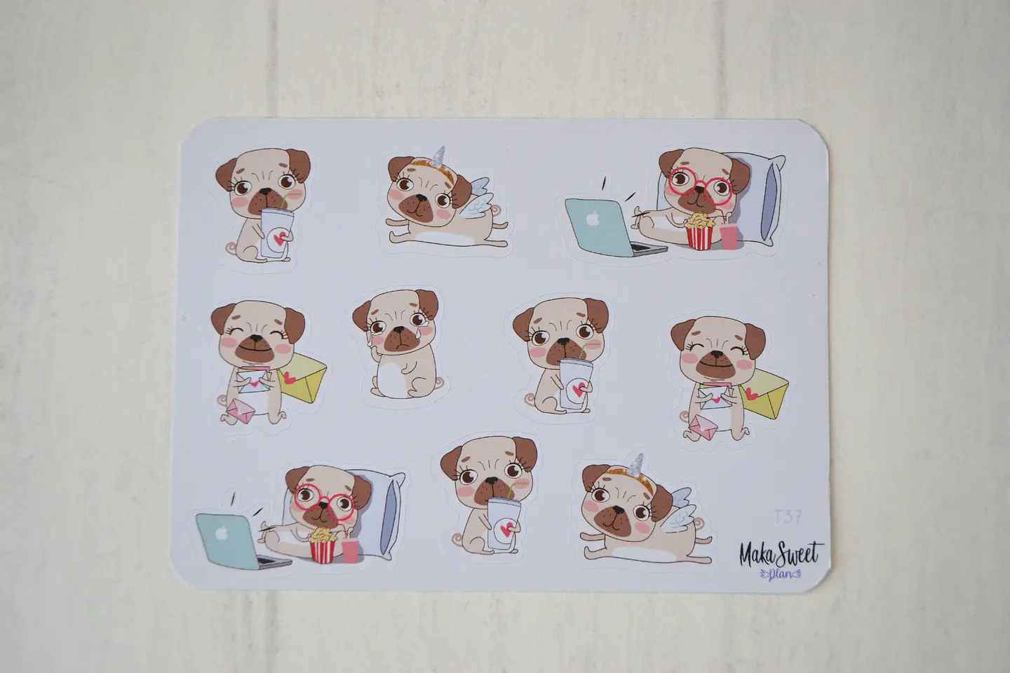 T 37 Perro Pug 1