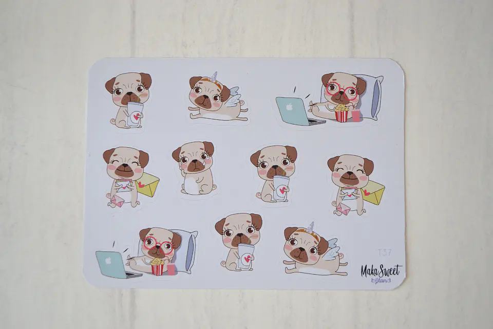 T 37 Perro Pug 1