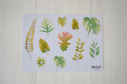 T 38 Plantas 