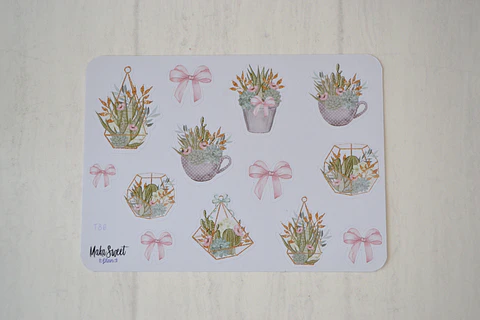 T 86 Plantas Suculentas