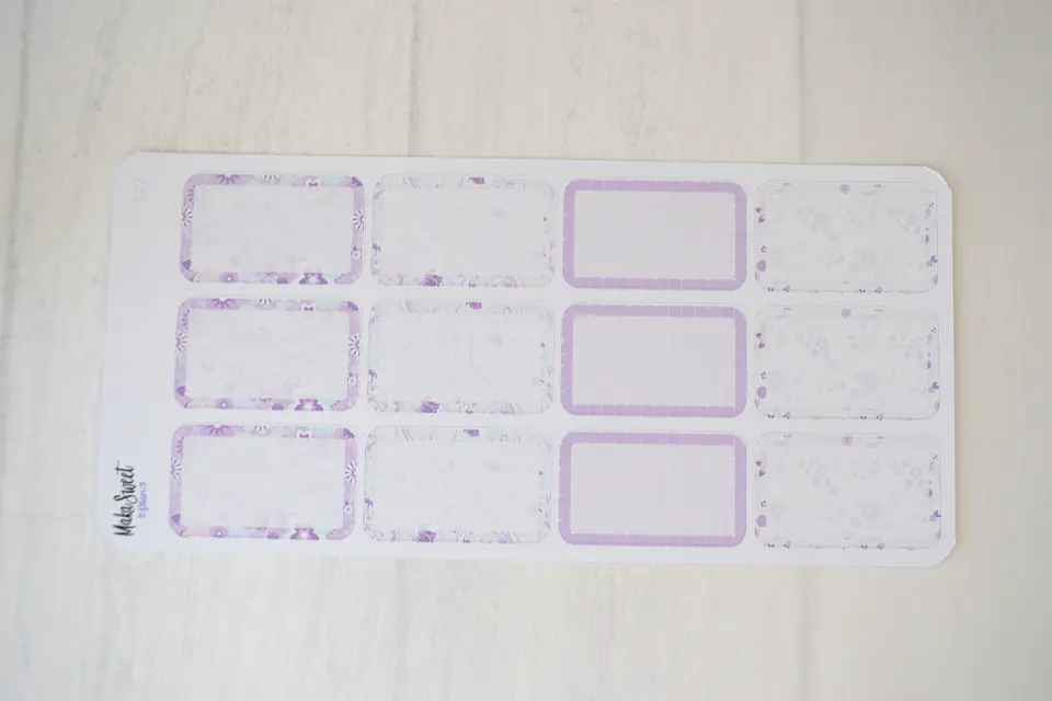 C 27 Half Box Panda 1