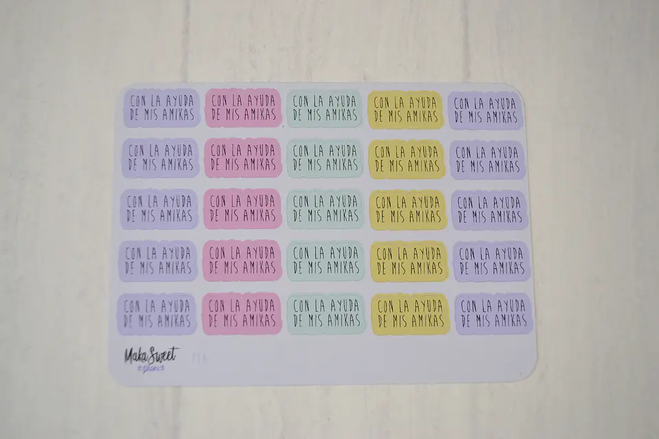 F 14 Con la ayuda de mis Amikas 1