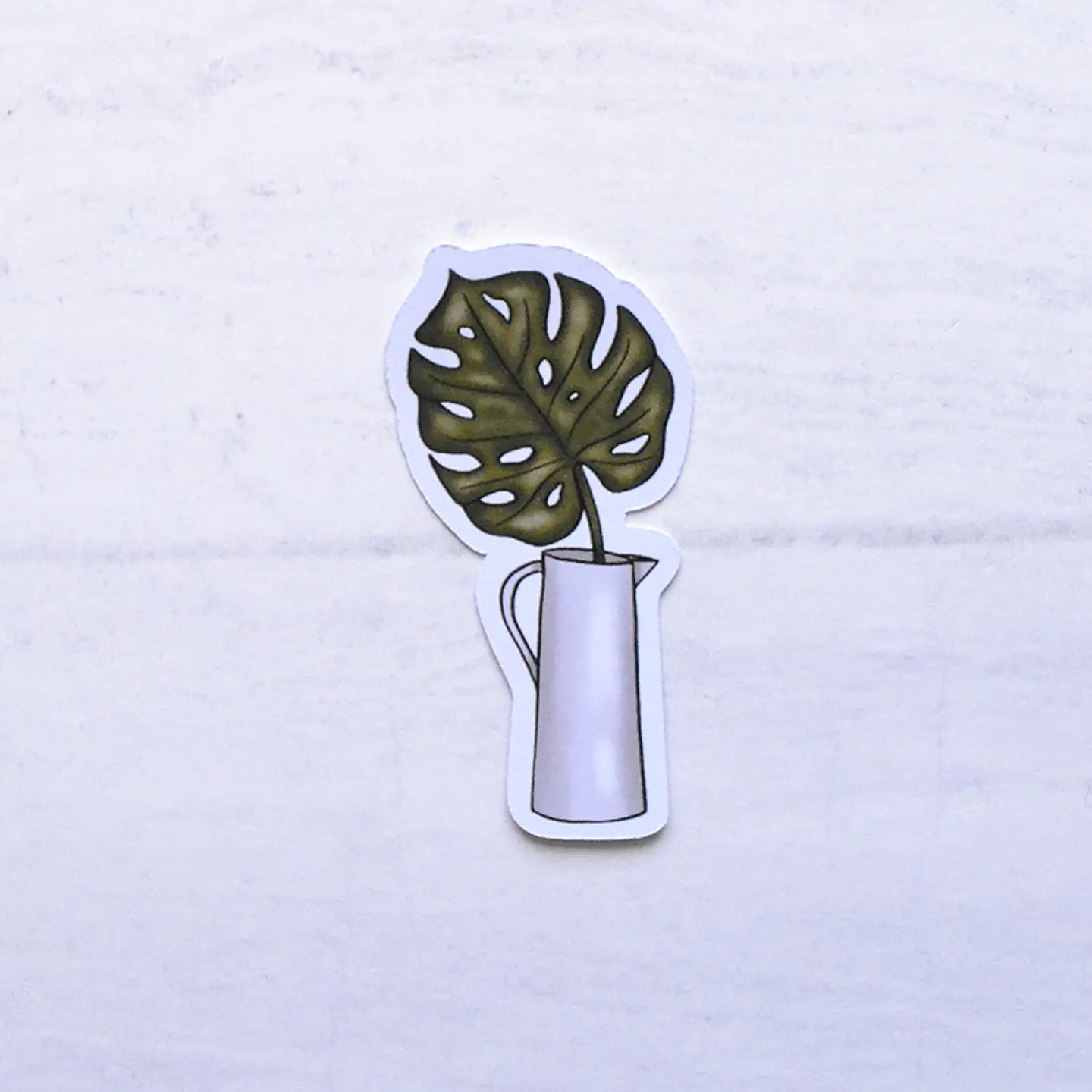 Monstera 1