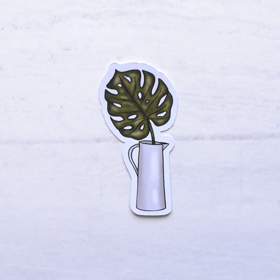 Monstera 1
